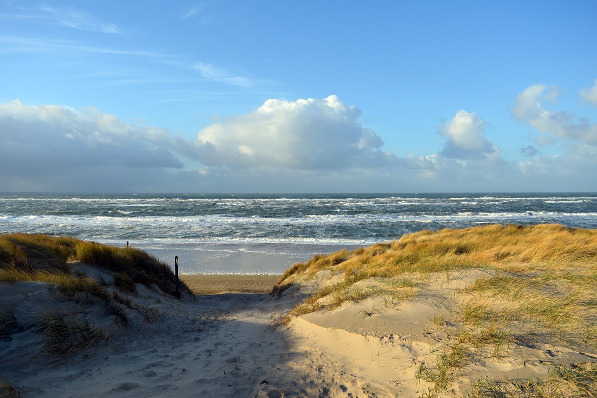 Texelphotos.nl - Foto afdruk als tuinposter – Texel Strandopgang - Duin - Strand - Zee - Wanddecoratie - Tuinposter - Natuur - Landschap - 120 x 80 cm.