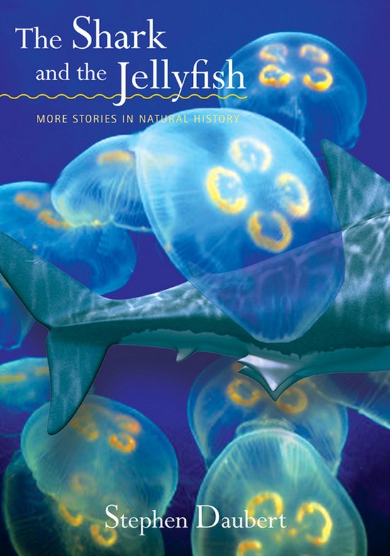 The Shark And The Jellyfish - cover