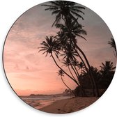 WallClassics - Dibond Muurcirkel - Groepje Hoge Palmbomen op het Strand bij Zonsondergang - 50x50 cm Foto op Aluminium Muurcirkel (met ophangsysteem)