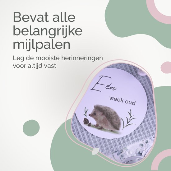 Rose & Ollie Mijlpaalkaarten baby - Bosdieren - babyshower - kraamcadeau van Rose & Ollie — afbeelding 2
