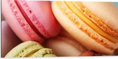 Dibond - Close-up van Verschillende Smaken Macarons Koekjes - 100x50 cm Foto op Aluminium (Met Ophangsysteem)
