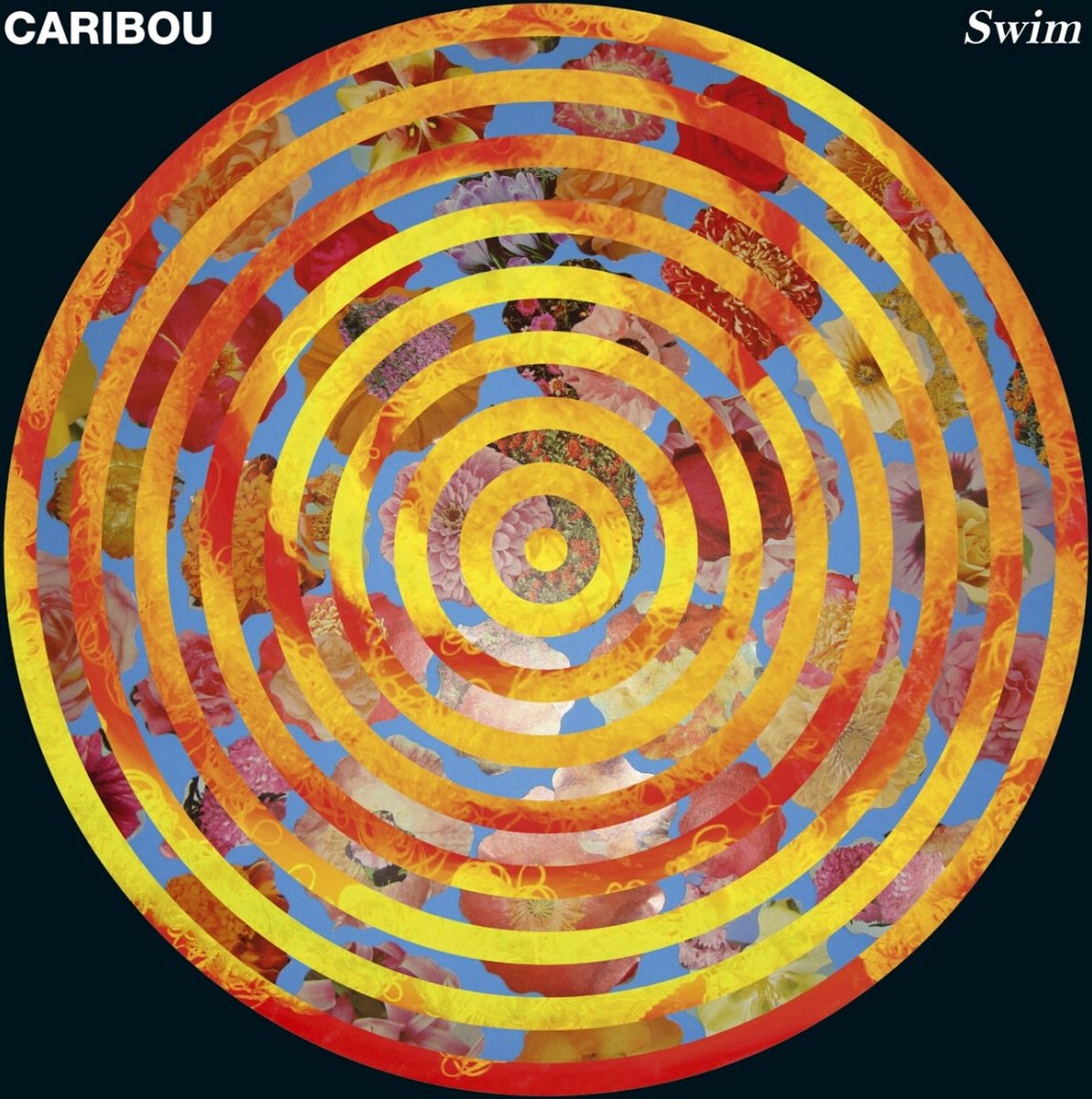Caribou - Swim (2 LP)