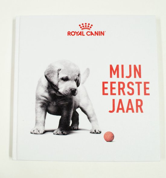 Mijn Eerste jaar