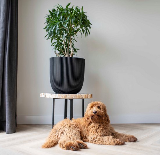 Capi Europe - Bloempot bol Groove NL - 43x41 - Goud - Opening Ø35 - Bloempot voor binnen en buiten - Levenslang garantie - Breukbestendig - 100% Recyclebaar - CO2 Neutraal geproduceerd - KGVGB933