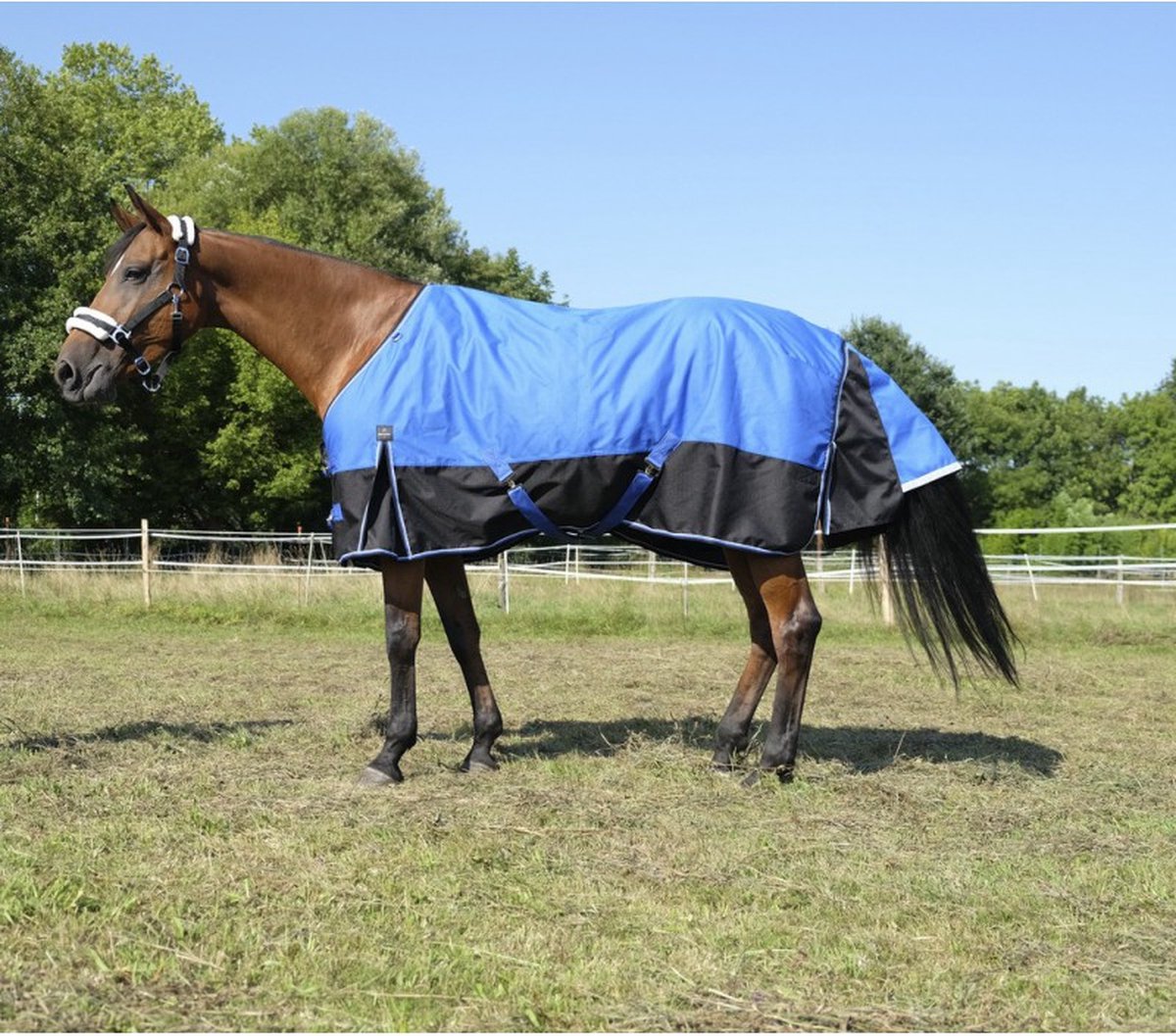 Outdoordeken tyrex 1200DGrams: 0 gr - 5'9/175 - Regendeken