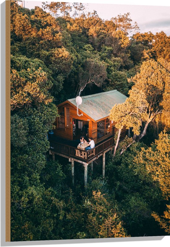 Hout - Boomhut in de Natuur - 60x90 cm - 9 mm dik - Foto op Hout (Met Ophangsysteem)