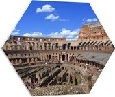 PVC Schuimplaat Hexagon - Binnenkant van het Colesseum in Rome, Italië - 60x52.2 cm Foto op Hexagon (Met Ophangsysteem)