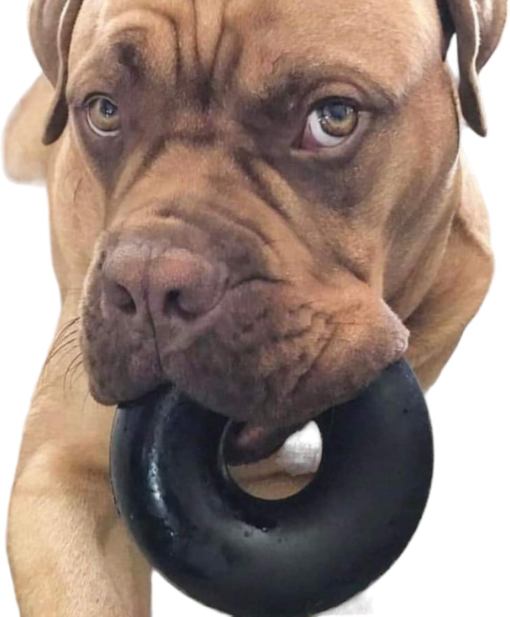 KONG - Jouet Anneau Ring en Caoutchouc pour Chien - M/L