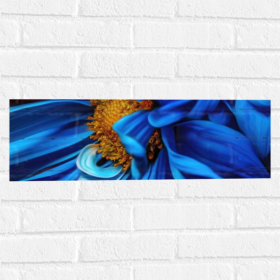 WallClassics - Muursticker - Close-up van Felblauwe Bloem met Gele Binnenkant - 60x20 cm Foto op Muursticker