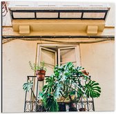 Dibond - Balkon met Groene Planten - 50x50 cm Foto op Aluminium (Wanddecoratie van metaal)