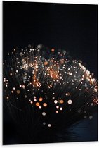 Dibond - Takken met Oranje Lichtjes aan de Bovenkant - 80x120 cm Foto op Aluminium (Met Ophangsysteem)