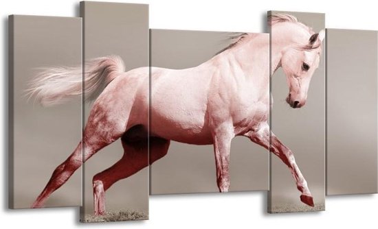GroepArt - Schilderij - Paard - Roze, Grijs - 120x65 5Luik - Foto Op Canvas - GroepArt 6000+ Schilderijen 0p Canvas Art Collectie - Wanddecoratie