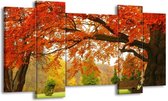 GroepArt - Schilderij - Herfst - Oranje, Groen, Geel - 120x65 5Luik - Foto Op Canvas - GroepArt 6000+ Schilderijen 0p Canvas Art Collectie - Wanddecoratie