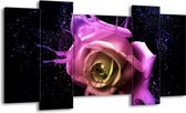 GroepArt - Schilderij - Roos - Paars, Roze, Zwart - 120x65 5Luik - Foto Op Canvas - GroepArt 6000+ Schilderijen 0p Canvas Art Collectie - Wanddecoratie