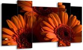 GroepArt - Schilderij - Bloem - Oranje, Zwart, Rood - 120x65 5Luik - Foto Op Canvas - GroepArt 6000+ Schilderijen 0p Canvas Art Collectie - Wanddecoratie