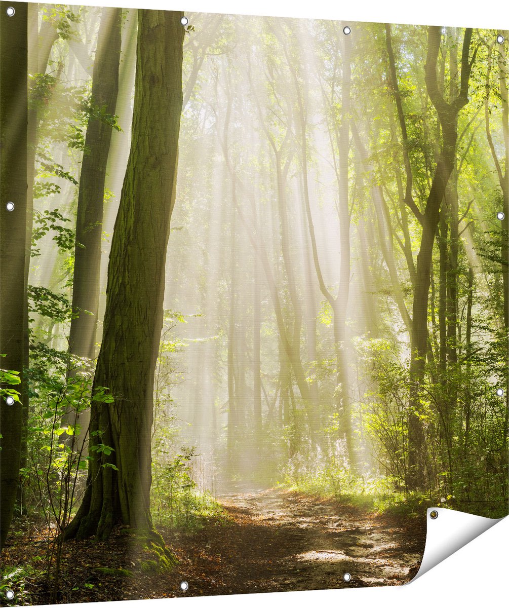 Gards Tuinposter Bos met Bomen en Zonneschijn - 120x120 cm - Tuindoek - Tuindecoratie - Wanddecoratie buiten - Tuinschilderij Multikleur
