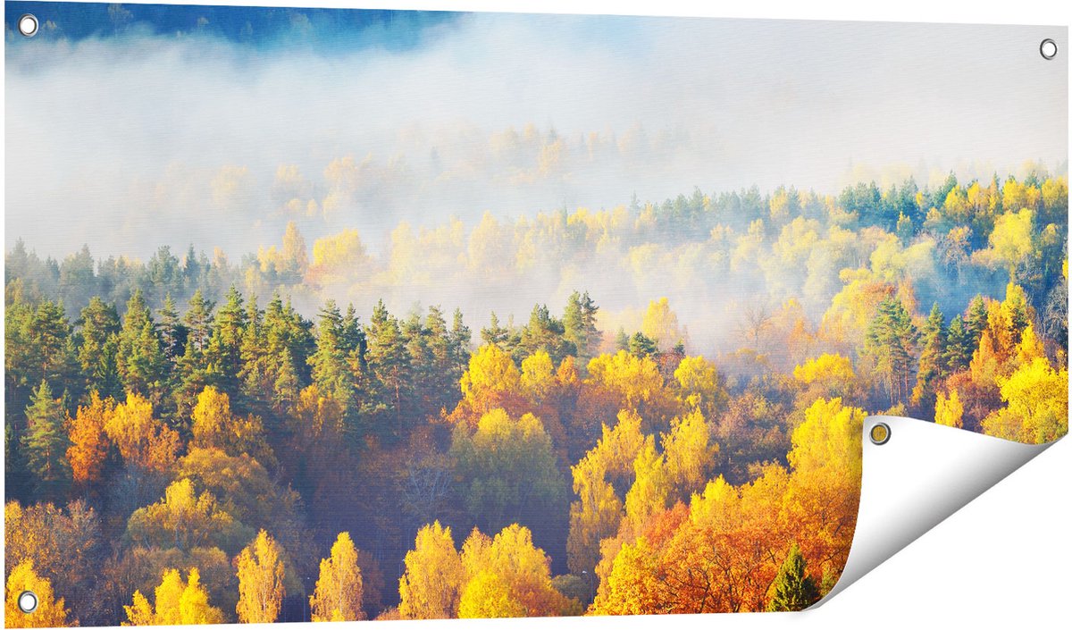 Gards Tuinposter Gekleurde Herfstbos met Mist - 100x50 cm - Tuindoek - Tuindecoratie - Wanddecoratie buiten - Tuinschilderij Multikleur