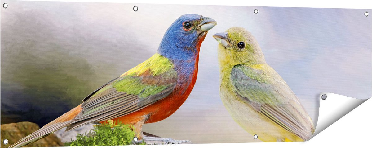 Gards Tuinposter Getekende Gorzen Vogels - Kleur - Abstract - 150x50 cm - Tuindoek - Tuindecoratie - Wanddecoratie buiten - Tuinschilderij Multikleur