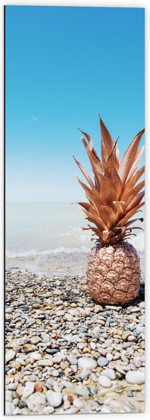 Dibond - Ananas op Kiezelstenen - 40x120 cm Foto op Aluminium (Met Ophangsysteem)