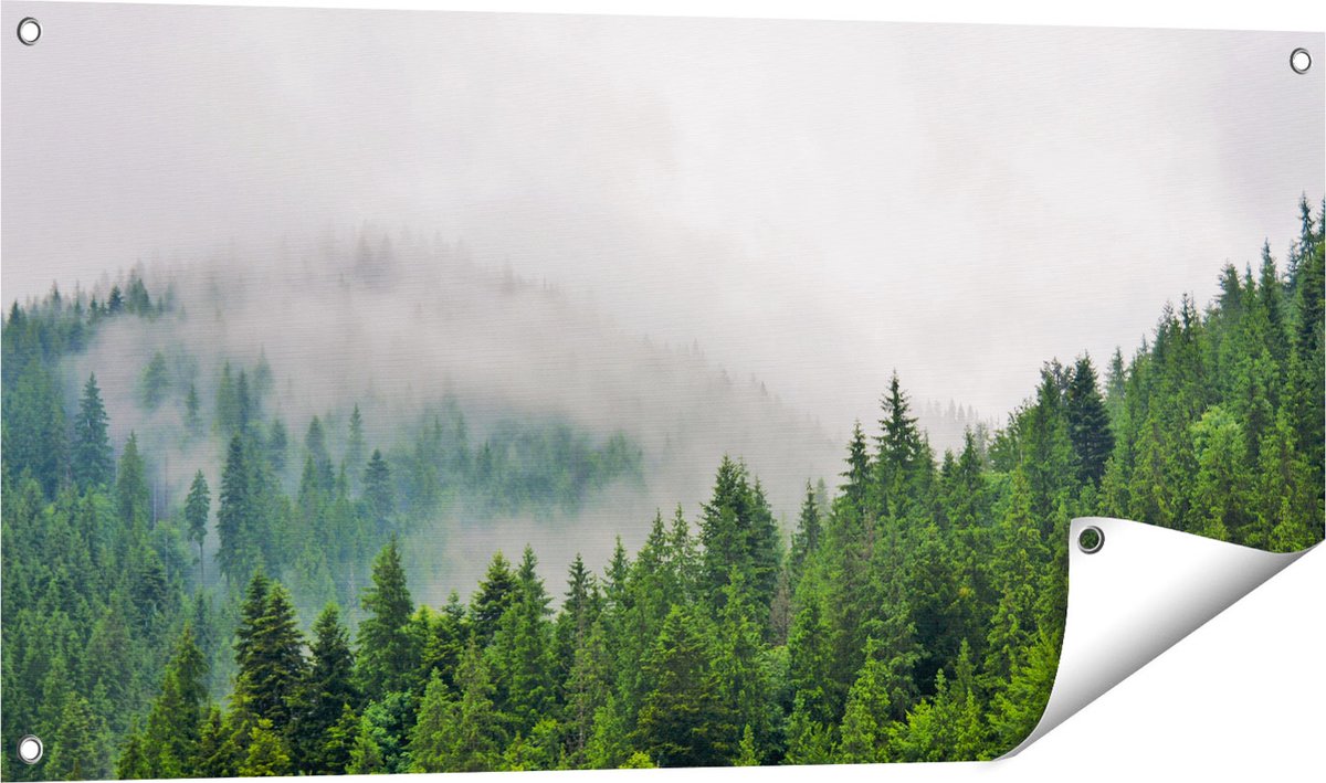 Gards Tuinposter Groen Bos met Bomen tijdens de Mist - 100x50 cm - Tuindoek - Tuindecoratie - Wanddecoratie buiten - Tuinschilderij Multikleur