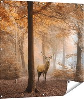 Gards Tuinposter Hert in het Bos - Herfst - 100x100 cm - Tuindoek - Tuindecoratie - Wanddecoratie buiten - Tuinschilderij