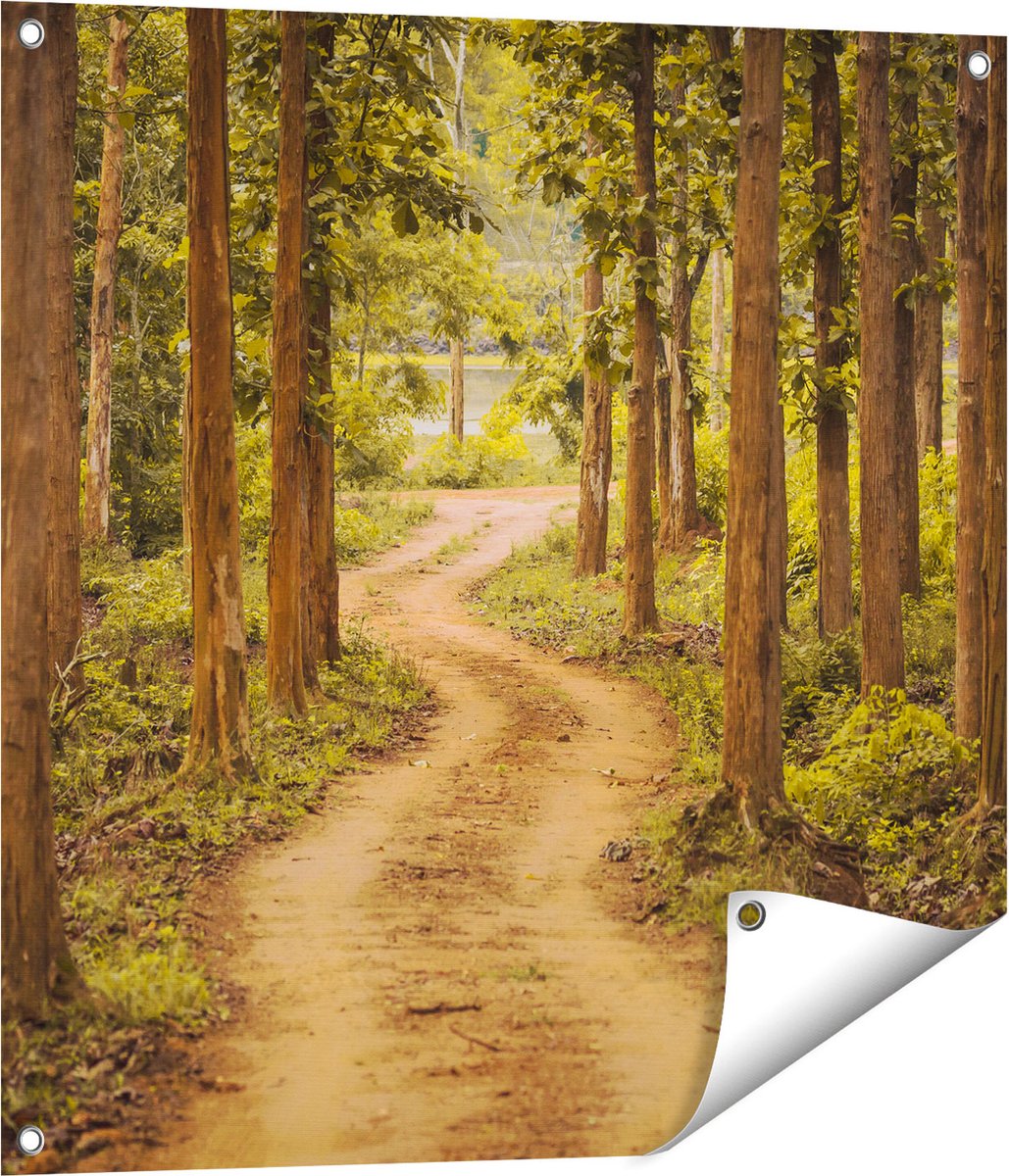 Gards Tuinposter Pad in het Bos met Bomen - 70x70 cm - Tuindoek - Tuindecoratie - Wanddecoratie buiten - Tuinschilderij Multikleur