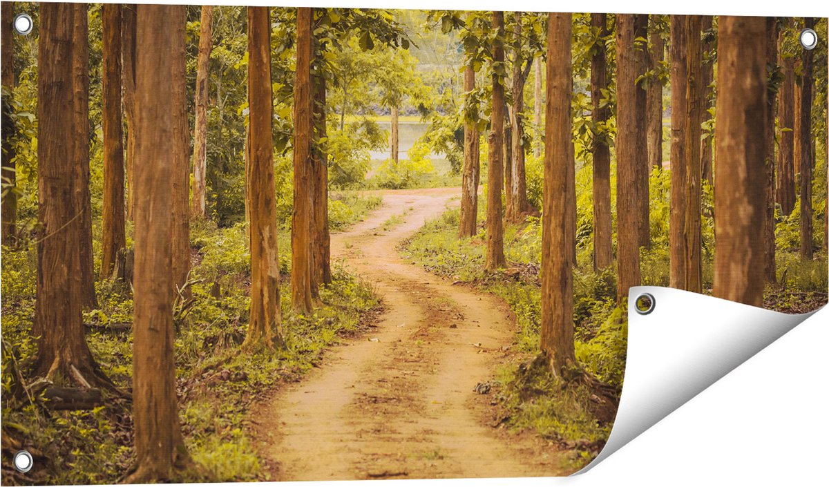 Gards Tuinposter Pad in het Bos met Bomen - 80x40 cm - Tuindoek - Tuindecoratie - Wanddecoratie buiten - Tuinschilderij Multikleur