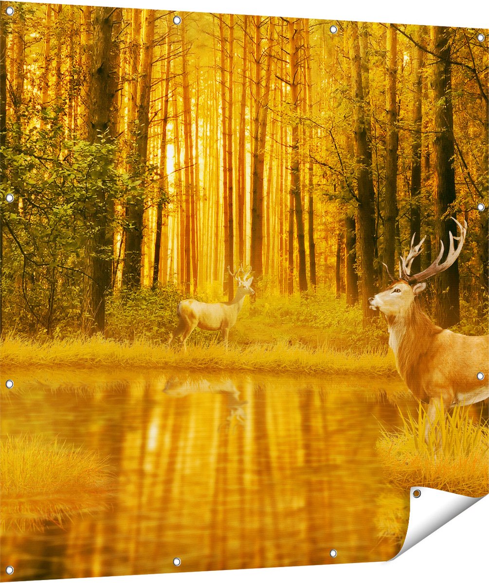 Gards Tuinposter Twee Herten in het Bos bij het Water - 120x120 cm - Tuindoek - Tuindecoratie - Wanddecoratie buiten - Tuinschilderij Multikleur