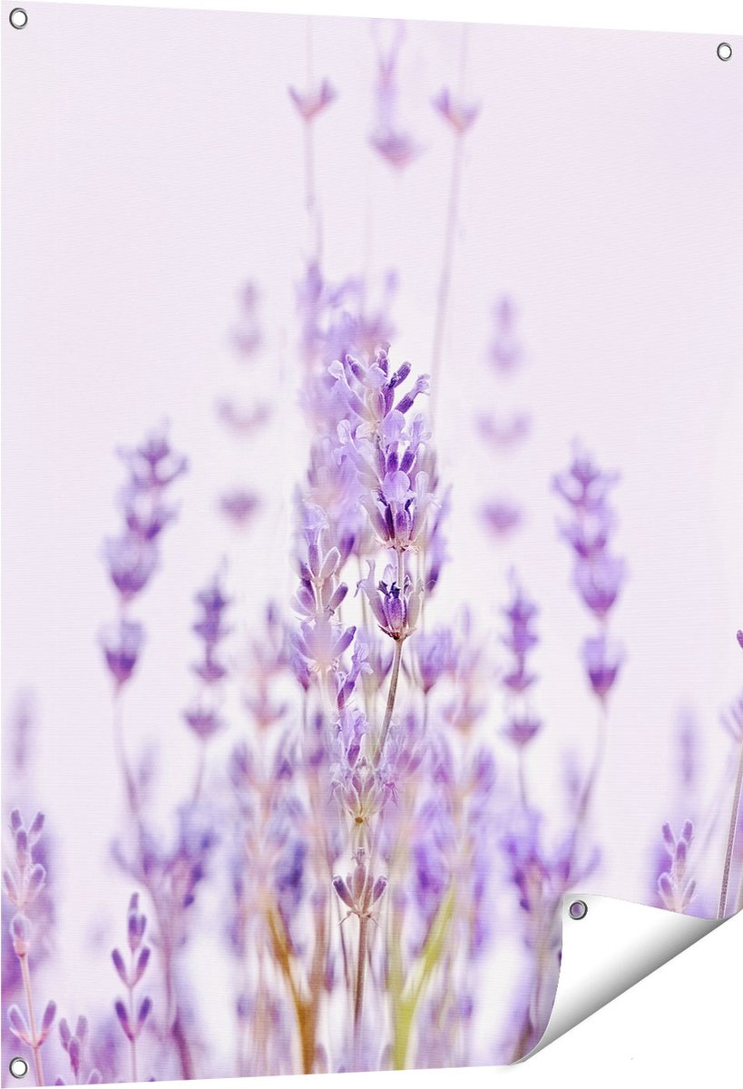 Gards Tuinposter Paarse Lavendel Bloemen - 80x100 cm - Tuindoek - Tuindecoratie - Wanddecoratie buiten - Tuinschilderij Multikleur