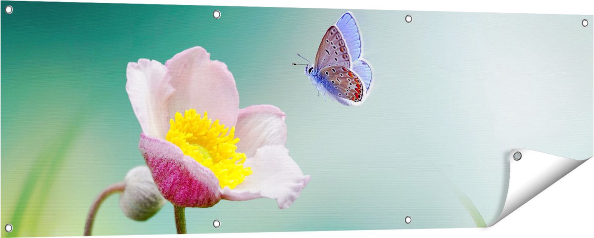 Gards Tuinposter Roze Anemoon Bloem met een Blauwe Vlinder - 150x50 cm - Tuindoek - Tuindecoratie - Wanddecoratie buiten - Tuinschilderij Multikleur