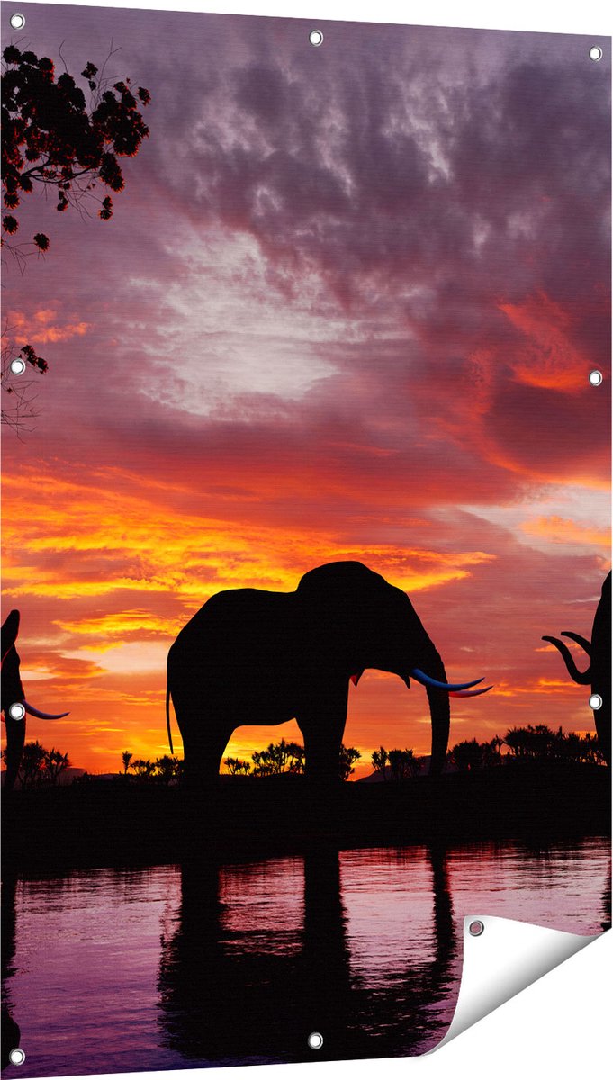 Gards Tuinposter Olifanten tijdens Zonsondergang - Silhouet - 80x120 cm - Tuindoek - Tuindecoratie - Wanddecoratie buiten - Tuinschilderij Multikleur