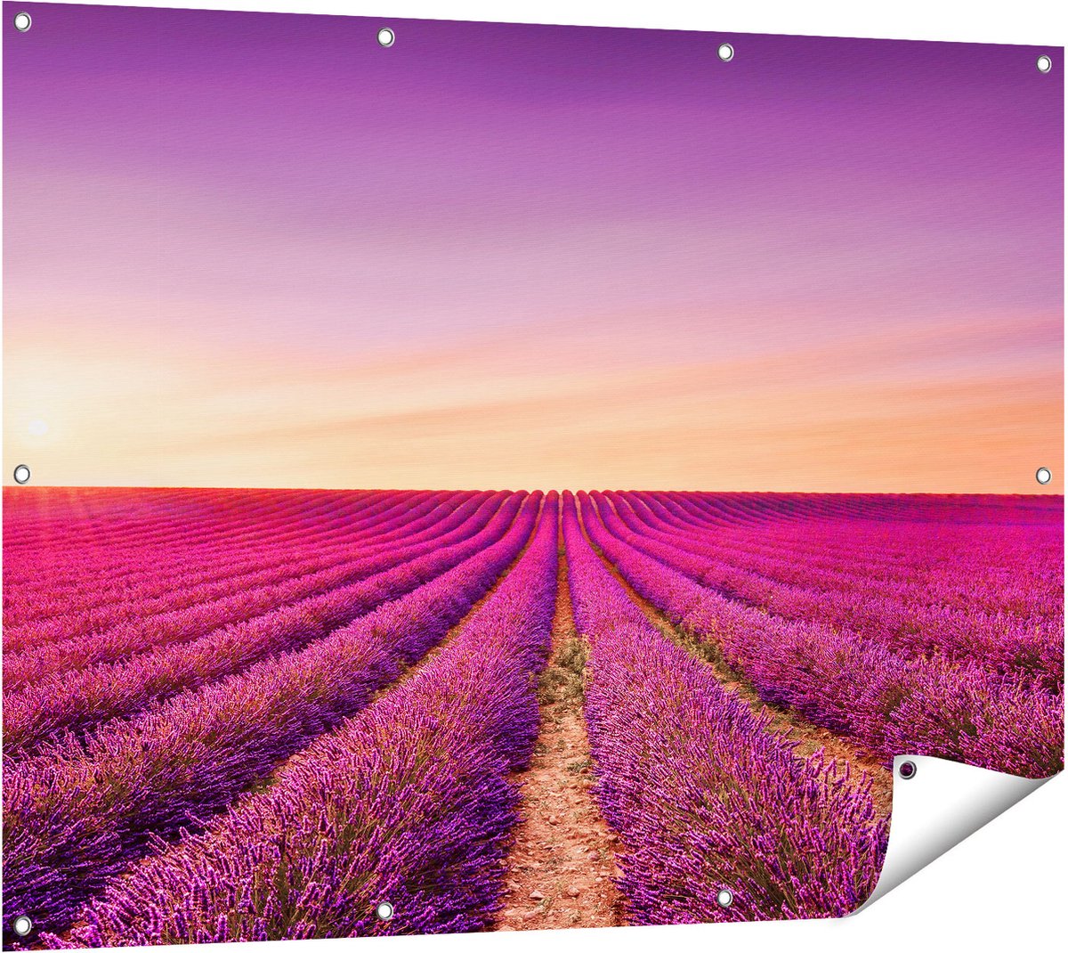 Gards Tuinposter Paarse Lavendel Bloemenveld - 120x90 cm - Tuindoek - Tuindecoratie - Wanddecoratie buiten - Tuinschilderij Multikleur