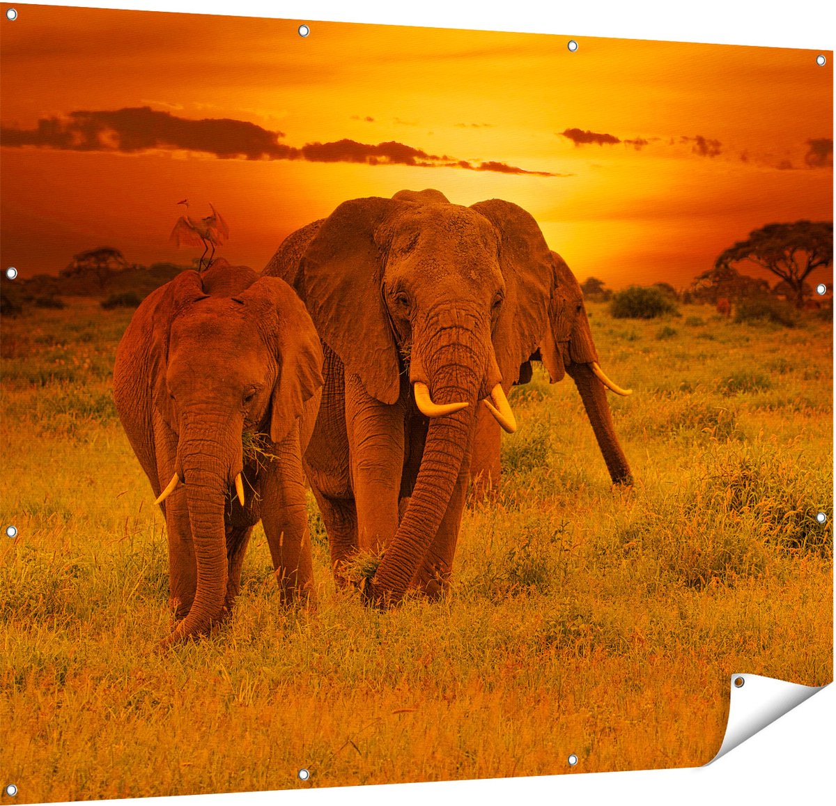 Gards Tuinposter Olifanten in het Wild - Zonsondergang - 150x120 cm - Tuindoek - Tuindecoratie - Wanddecoratie buiten - Tuinschilderij Multikleur