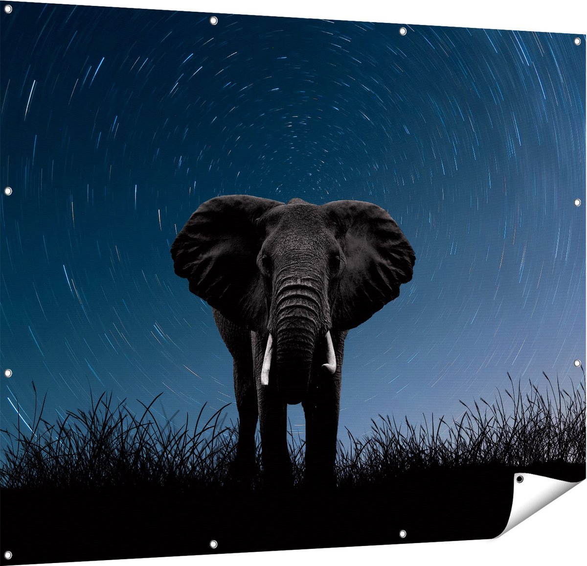 Gards Tuinposter Olifant Omringd met Sterren - 150x120 cm - Tuindoek - Tuindecoratie - Wanddecoratie buiten - Tuinschilderij Multikleur