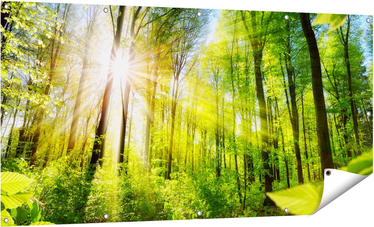 Gards Tuinposter Weg Omringd met Bomen in het Bos - 160x80 cm - Tuindoek - Tuindecoratie - Wanddecoratie buiten - Tuinschilderij Multikleur