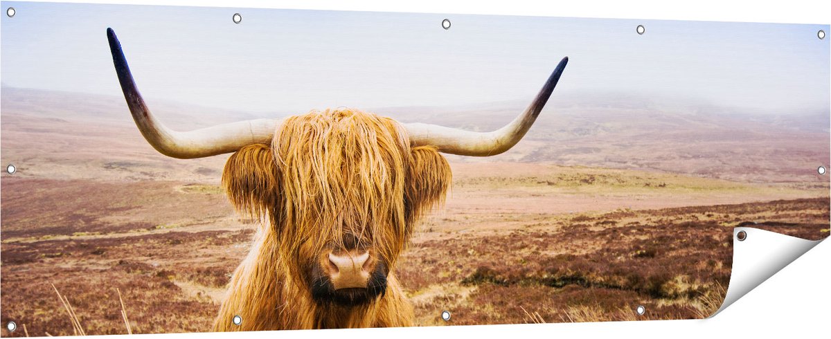 Gards Tuinposter Schotse Hooglander Koe in het Veld - 180x60 cm - Tuindoek - Tuindecoratie - Wanddecoratie buiten - Tuinschilderij Multikleur