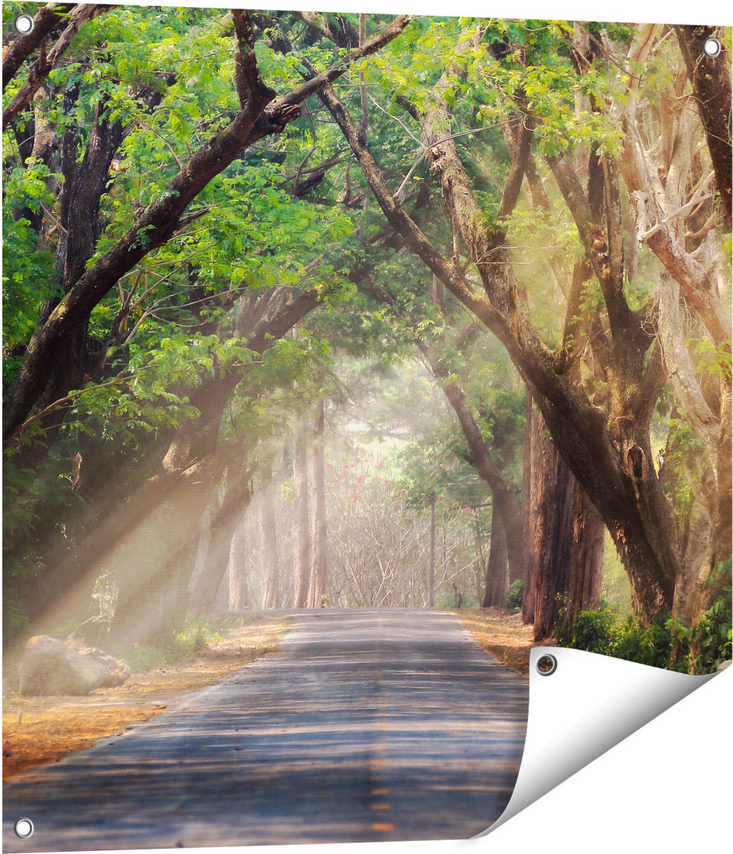 Gards Tuinposter Weg Omringd met Bomen - 70x70 cm - Tuindoek - Tuindecoratie - Wanddecoratie buiten - Tuinschilderij Multikleur