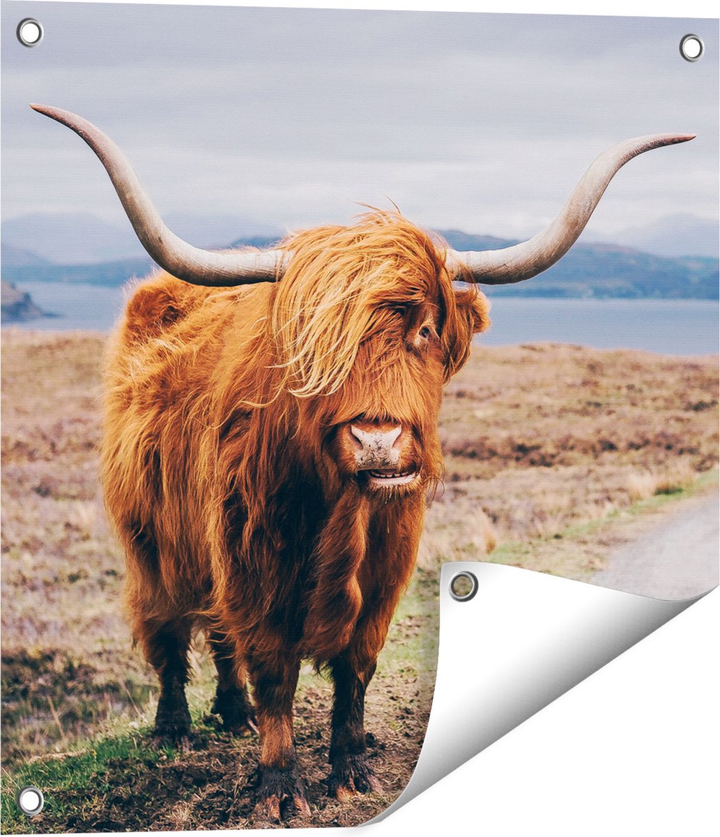 Gards Tuinposter Schotse Hooglander Koe op de Weg - 50x50 cm - Tuindoek - Tuindecoratie - Wanddecoratie buiten - Tuinschilderij Multikleur