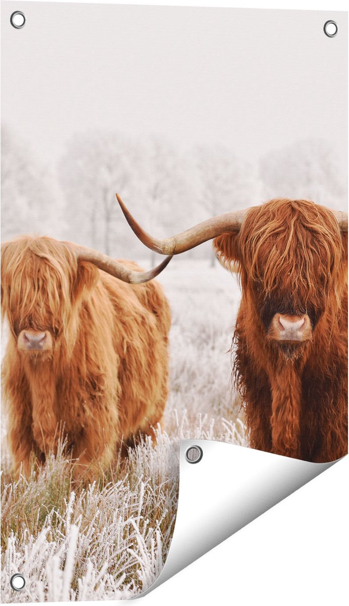Gards Tuinposter Twee Schotse Hooglander Koeien in de Wei - 40x60 cm - Tuindoek - Tuindecoratie - Wanddecoratie buiten - Tuinschilderij Multikleur