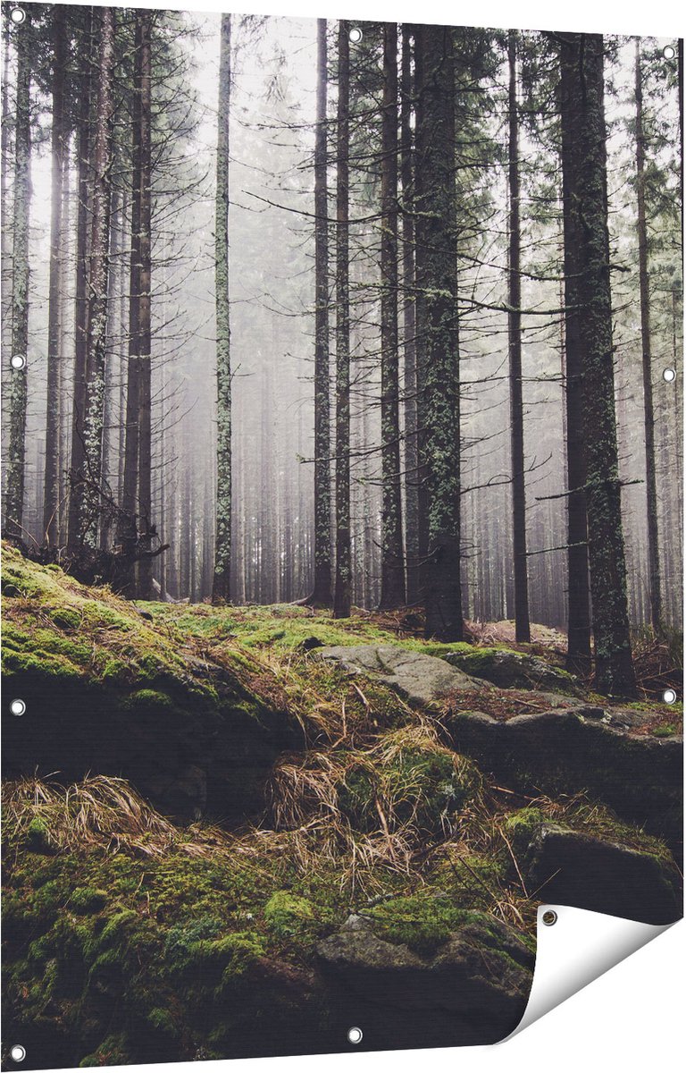 Gards Tuinposter Bos met Mos op Rotsen - 90x120 cm - Tuindoek - Tuindecoratie - Wanddecoratie buiten - Tuinschilderij Multikleur
