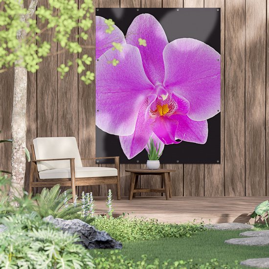 Zaadmengsel Vlinderbloemen Mix kopen? Online zaden bestellen bij