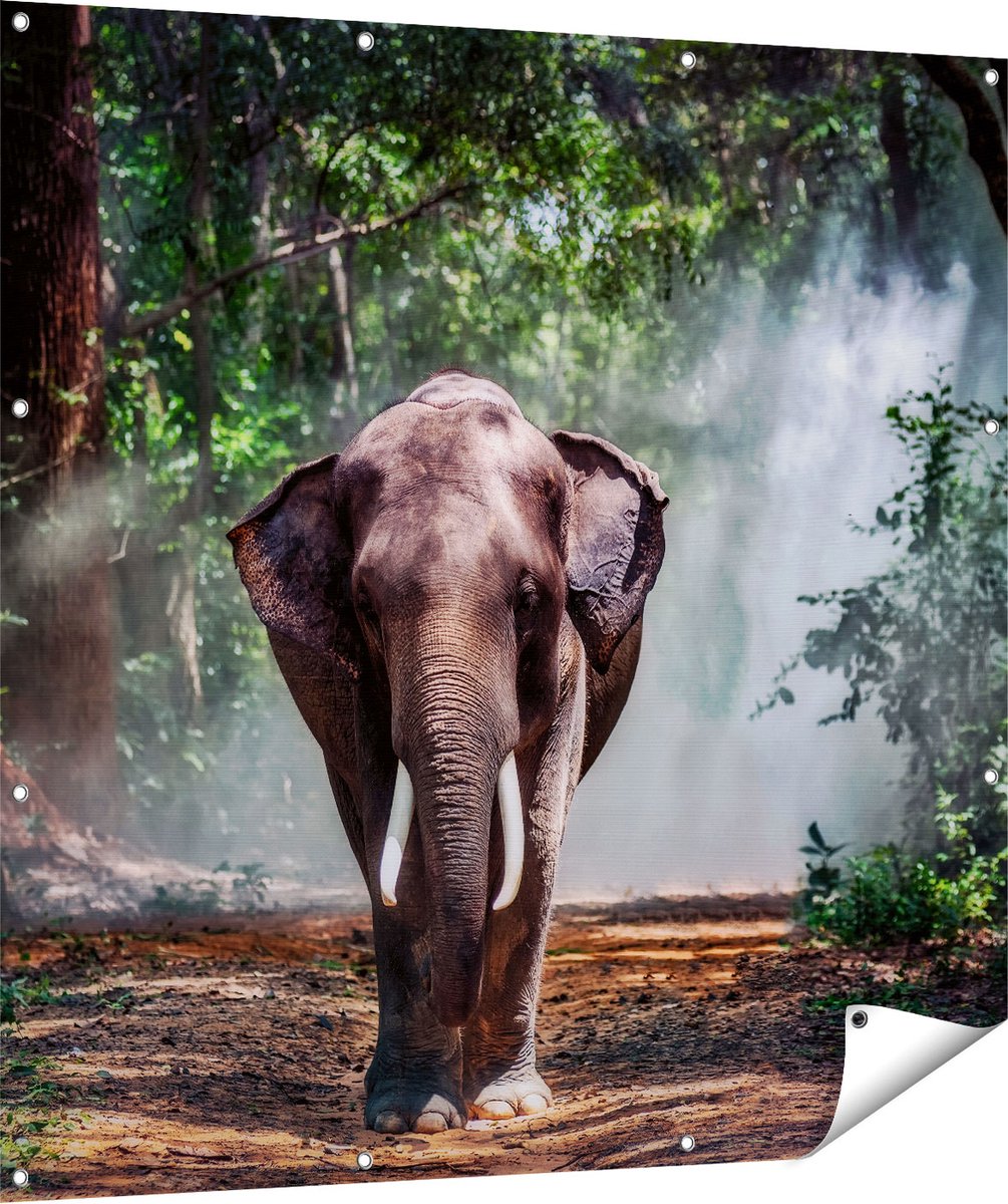 Gards Tuinposter Olifant in het Bos - 120x120 cm - Tuindoek - Tuindecoratie - Wanddecoratie buiten - Tuinschilderij Multikleur