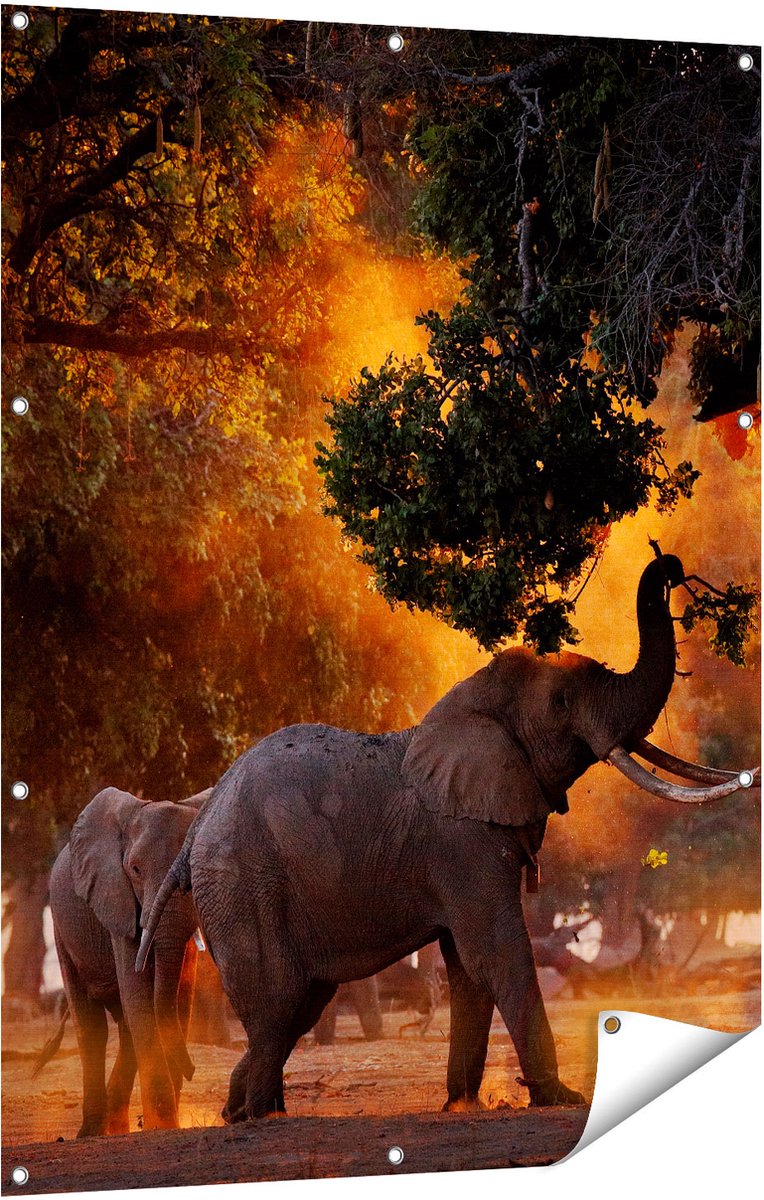 Gards Tuinposter Twee Olifanten in het Bos - 90x120 cm - Tuindoek - Tuindecoratie - Wanddecoratie buiten - Tuinschilderij Multikleur