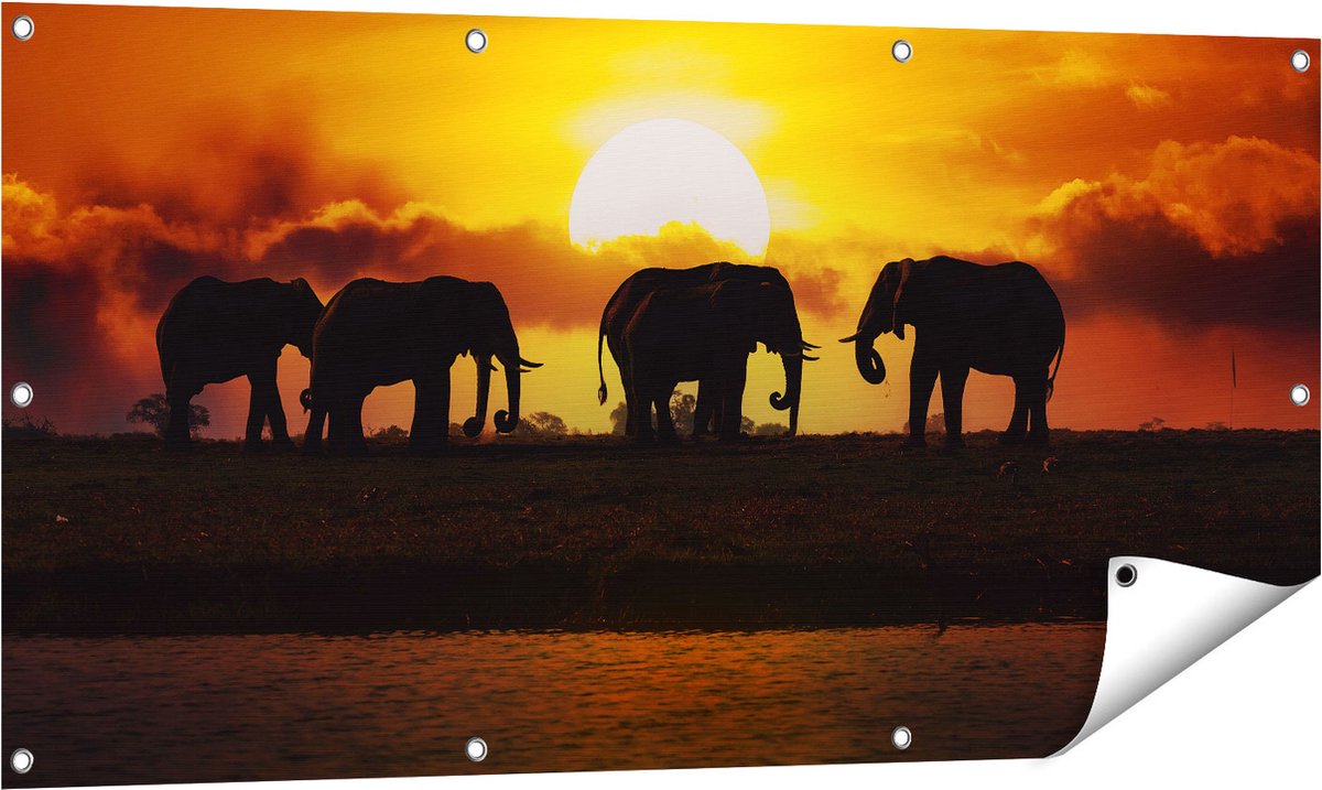 Gards Tuinposter Silhouet Olifanten tijdens Zonsondergang - 120x60 cm - Tuindoek - Tuindecoratie - Wanddecoratie buiten - Tuinschilderij Multikleur