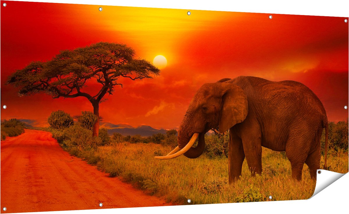 Gards Tuinposter Olifant in het Wild tijdens Zonsondergang - 200x100 cm - Tuindoek - Tuindecoratie - Wanddecoratie buiten - Tuinschilderij Multikleur