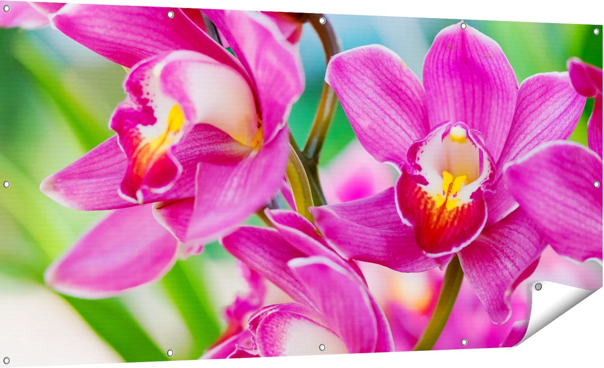Gards Tuinposter Licht Paarse Orchidee Bloemen - 180x90 cm - Tuindoek - Tuindecoratie - Wanddecoratie buiten - Tuinschilderij Multikleur