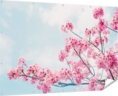Gards Tuinposter Roze Bloesemboom - Bloemen - 180x120 cm - Tuindoek - Tuindecoratie - Wanddecoratie buiten - Tuinschilderij