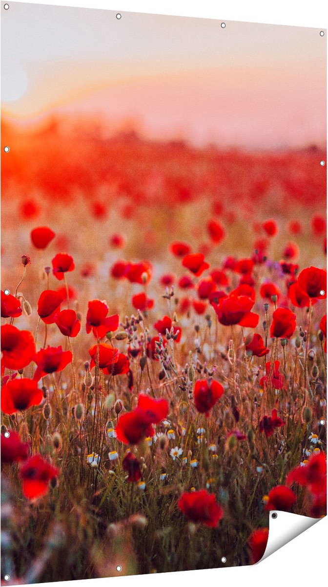 Gards Tuinposter Rode Klaprozen Bloemenveld Zonsondergang - 120x180 cm - Tuindoek - Tuindecoratie - Wanddecoratie buiten - Tuinschilderij Multikleur