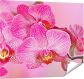 Gards Tuinposter Roze Orchidee Bloemen - 100x80 cm - Tuindoek - Tuindecoratie - Wanddecoratie buiten - Tuinschilderij