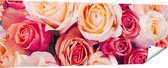 Gards Tuinposter Roze Rozen Achtergrond - Bloemen - 180x60 cm - Tuindoek - Tuindecoratie - Wanddecoratie buiten - Tuinschilderij